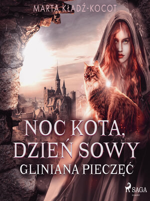 cover image of Noc kota, dzień sowy